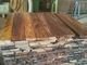 La madera estable del horno aserró la madera, madera de construcción aserrada áspera modifica tamaño para requisitos particulares un grado