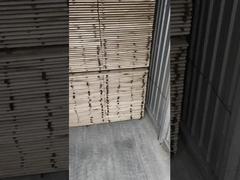 Techo falso del secador de horno/equipos de secado de leña/secador de leña